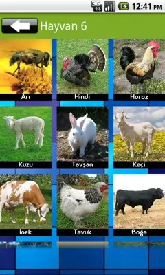 Animal Sound android App screenshot 2