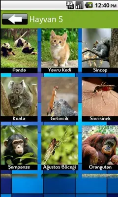 Animal Sound android App screenshot 3