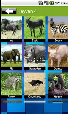 Animal Sound android App screenshot 4