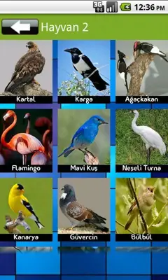 Animal Sound android App screenshot 6